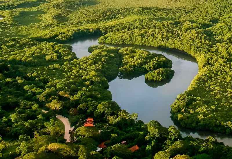 Las Baulas National Park