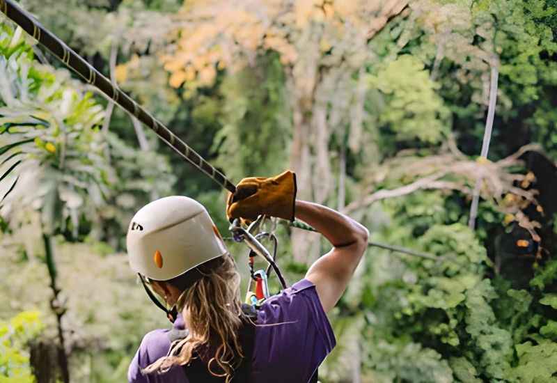  Canopy Tour