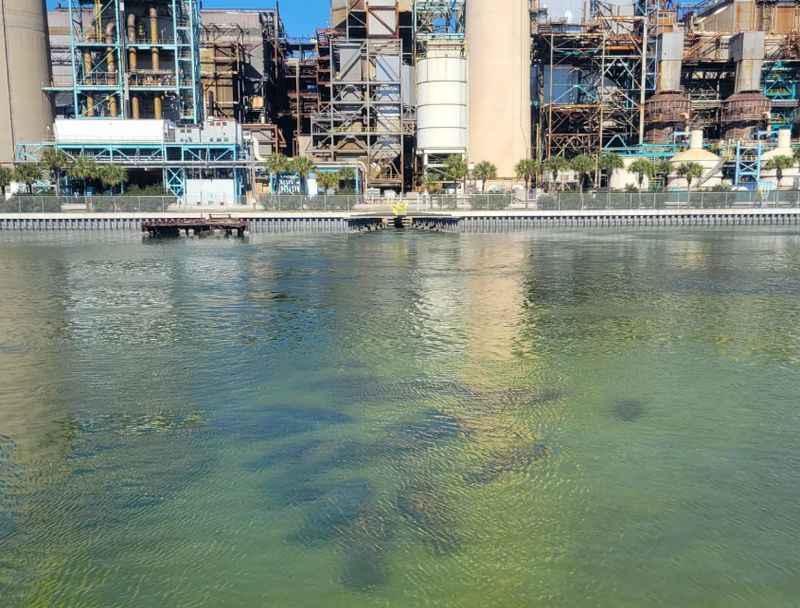 Manatee Viewing Center