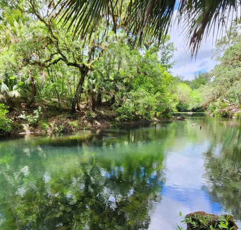 Hillsborough River