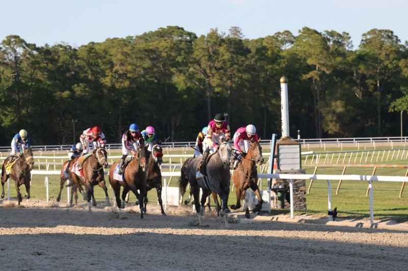 Tampa Bay Downs