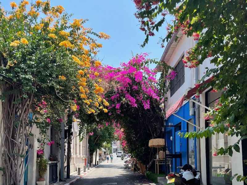 Explore the Vibrant and Charming Cafes in Neve Tzedek, One of Tel Aviv’s Oldest Neighborhoods