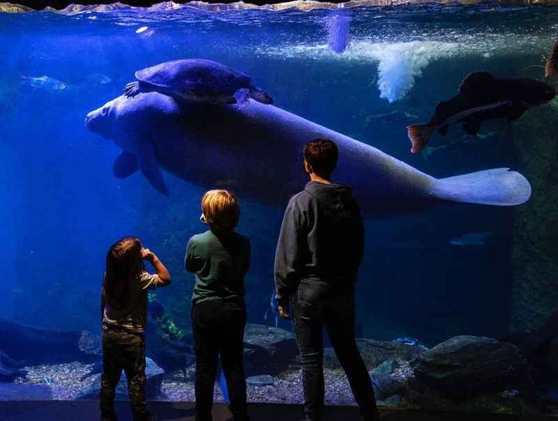 Dallas World Aquarium