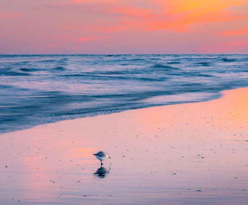 Padre Island National Seashore