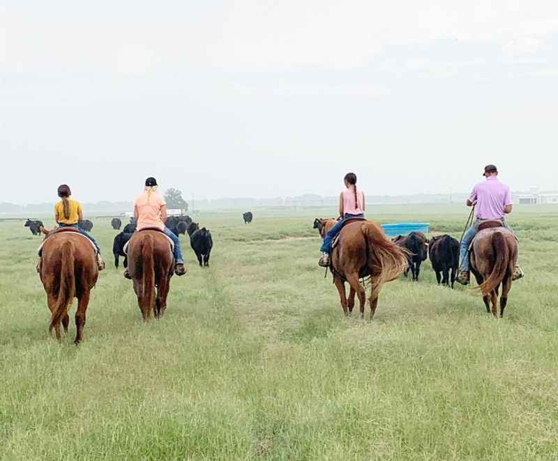 Horseback Riding