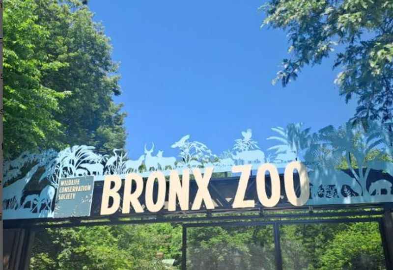 The Bronx Zoo