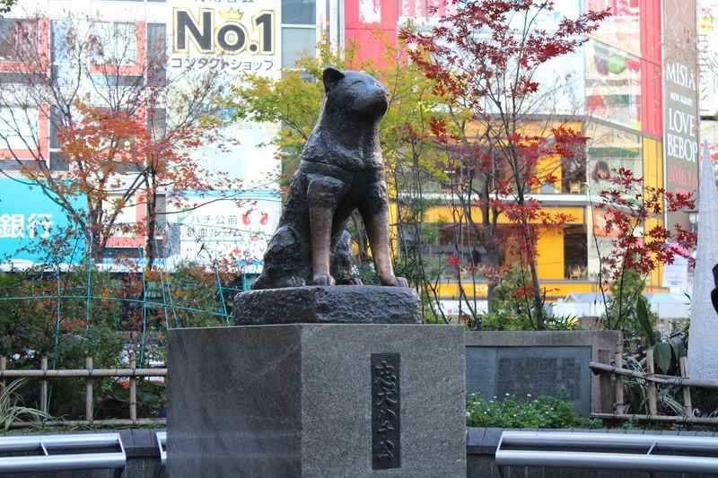 Hachiko Statue