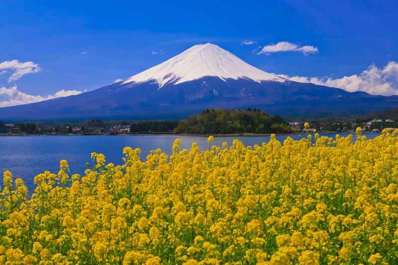 Mount Fuji