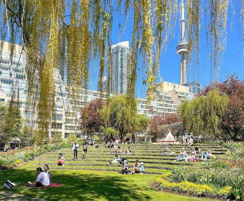 Toronto Music Garden