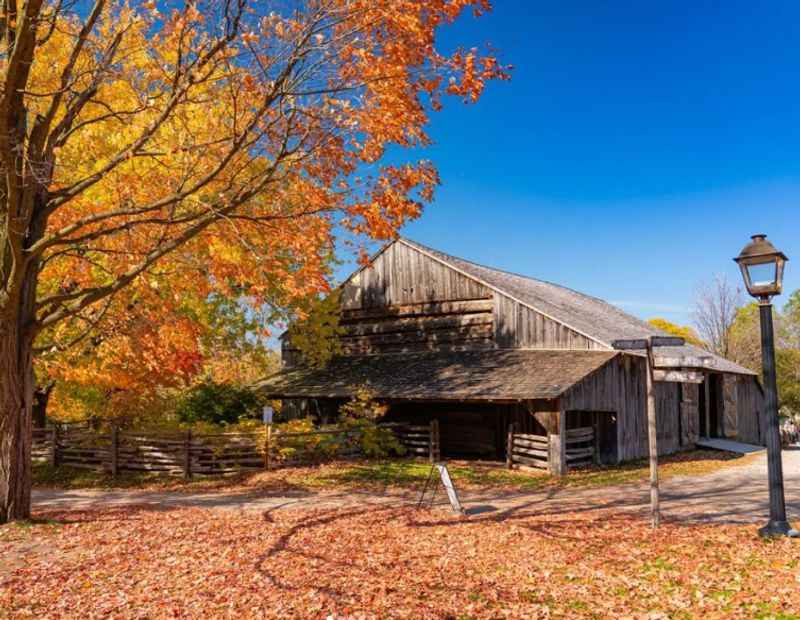 Black Creek Pioneer Village