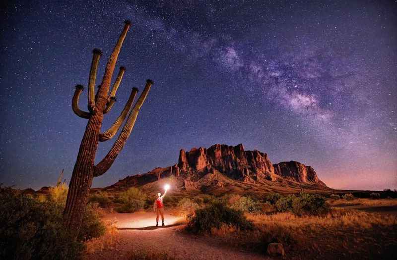 Tucson Desert Museum After Dark