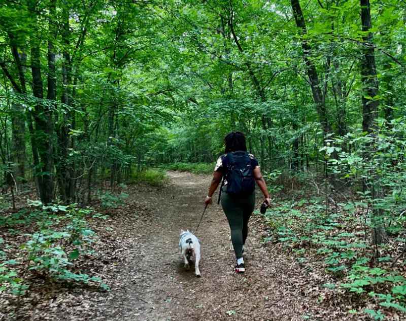 Turkey Mountain Urban Wilderness