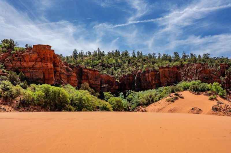 Coral Pink Sand Dunes