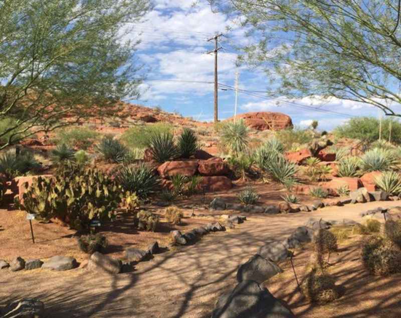 Red Hills Desert Garden