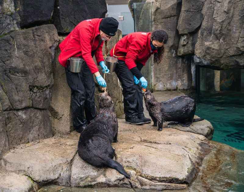 Vancouver Aquarium