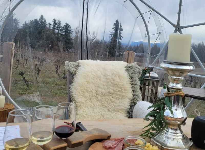 Wine Tasting in Fraser Valley