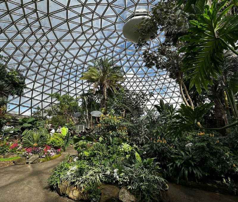 Bloedel Conservatory