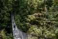 Bridge in Lynn Canyon Park