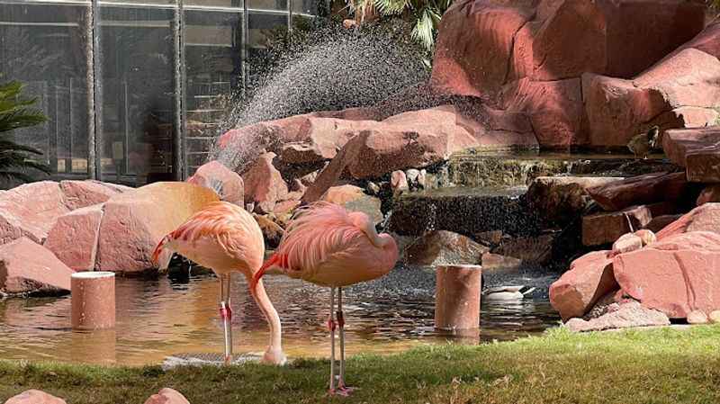 Flamingo Wildlife Habitat