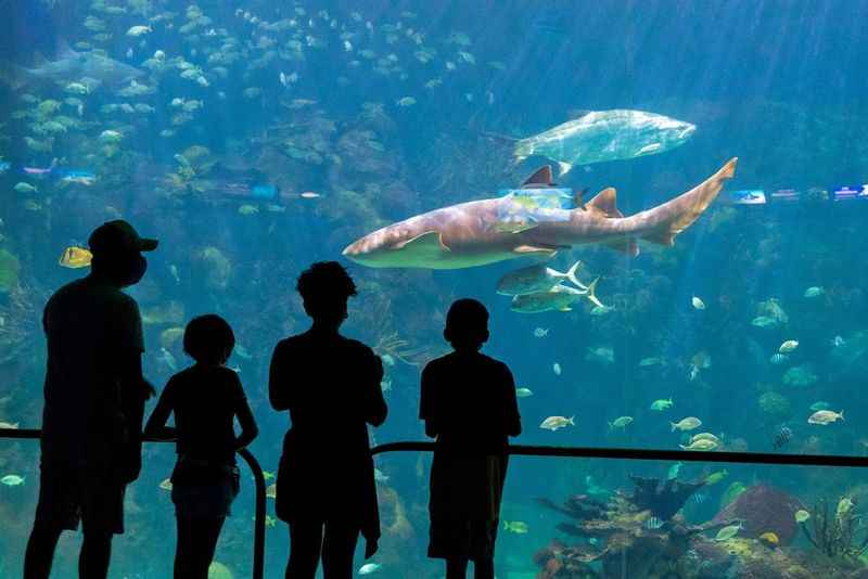 Veracruz Aquarium