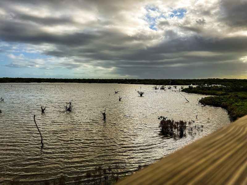 Pelican Island National Wildlife Refuge