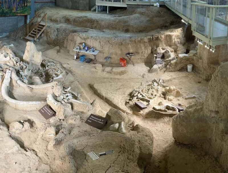 Waco Mammoth National Monument