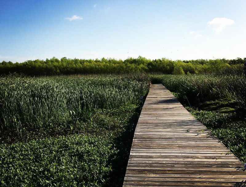 Lake Waco Wetlands