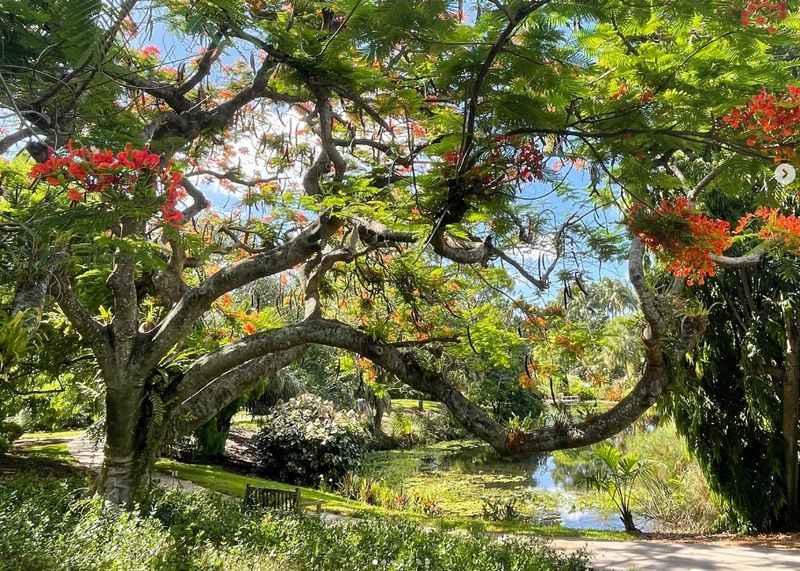 Mounts Botanical Garden