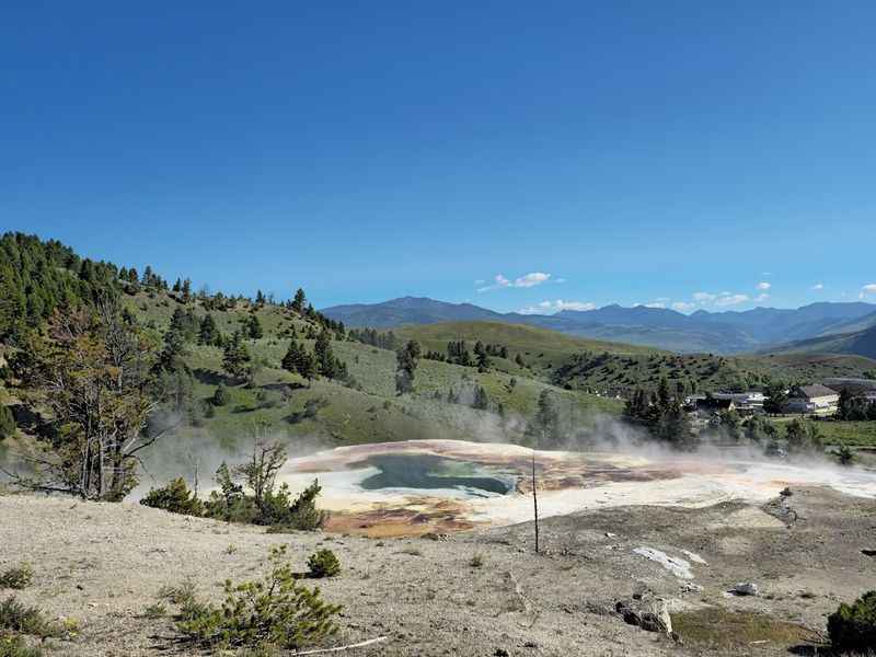 Mammoth Hot Springs