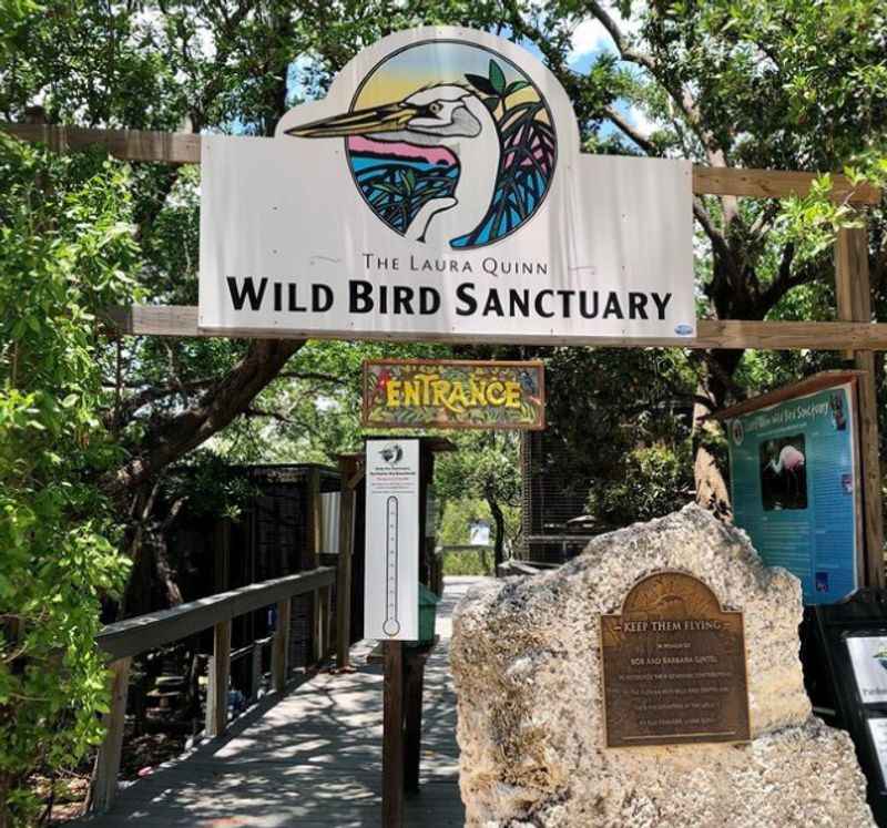 Key Largo Wild Bird Rehabilitation Center