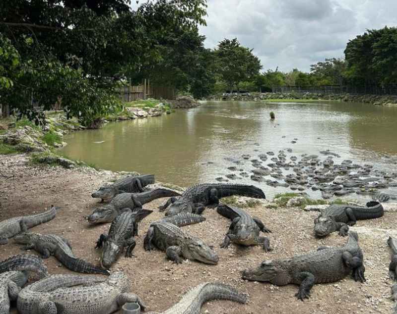 International Biosphere Reserve in Key Largo