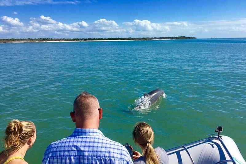 Ten Thousand Islands Boat Tour to See Dolphins