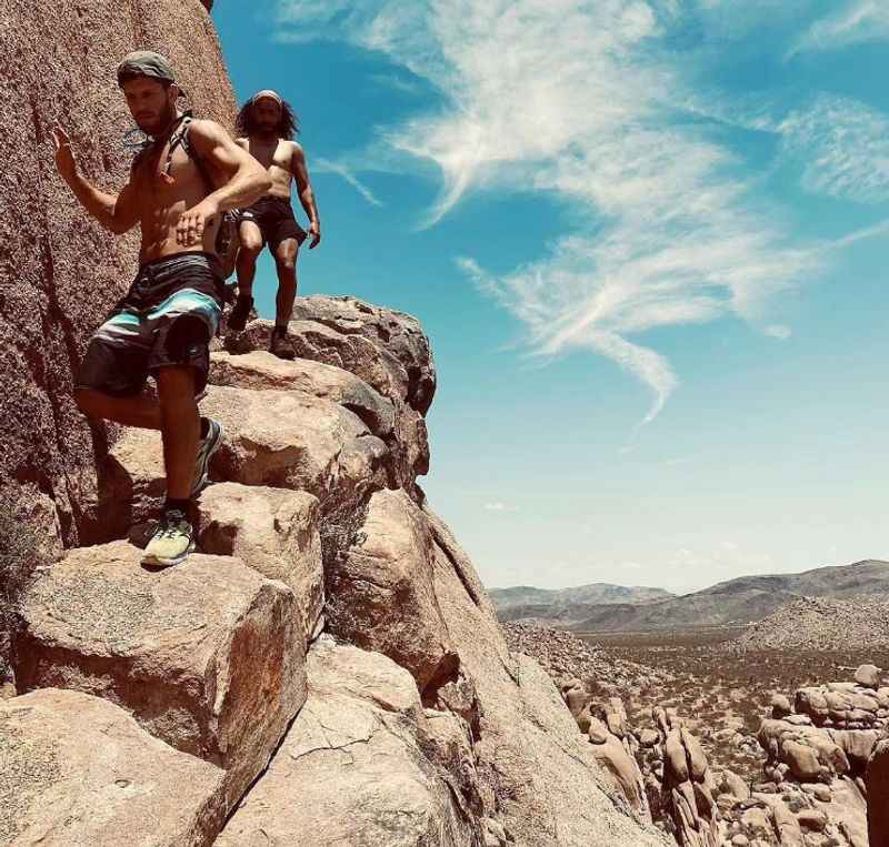 Joshua Tree National Park trail