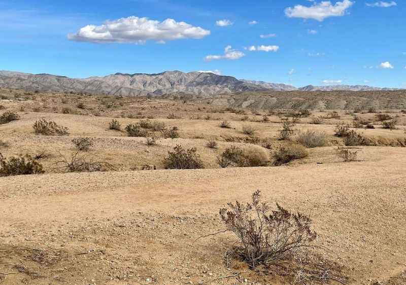 Coachella Valley Preserve