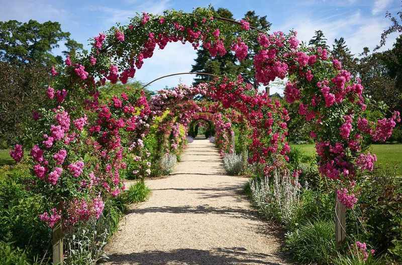 Planting Fields Arboretum