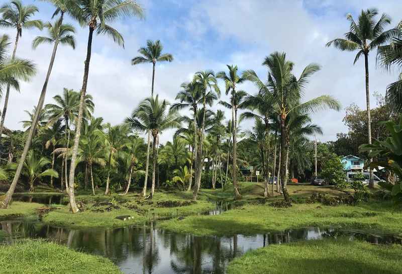 Town of Hilo