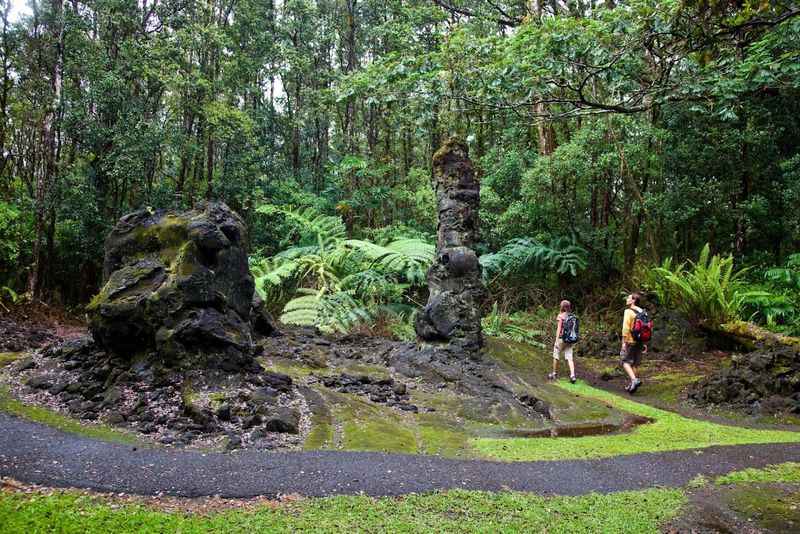 Petrified Trees at the Lava Trees State Park in Puna