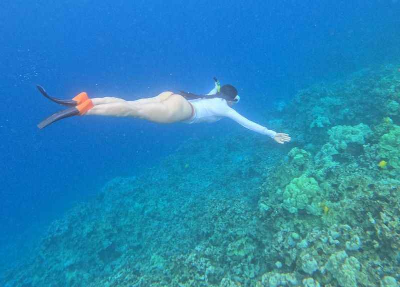 Snorkel Kealakekua Bay