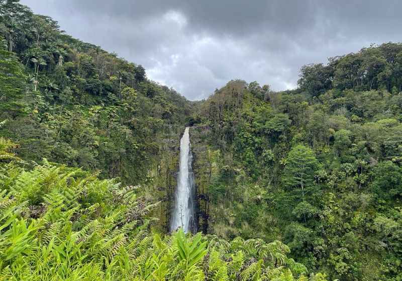 Akaka Falls State Park