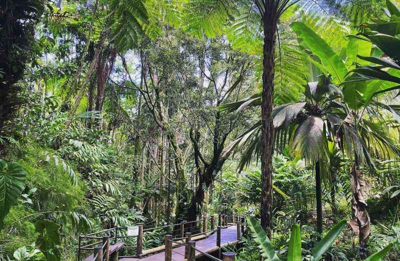  Hawaii Tropical Botanical Gardens