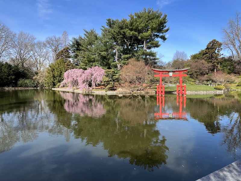 Brooklyn Botanic Garden