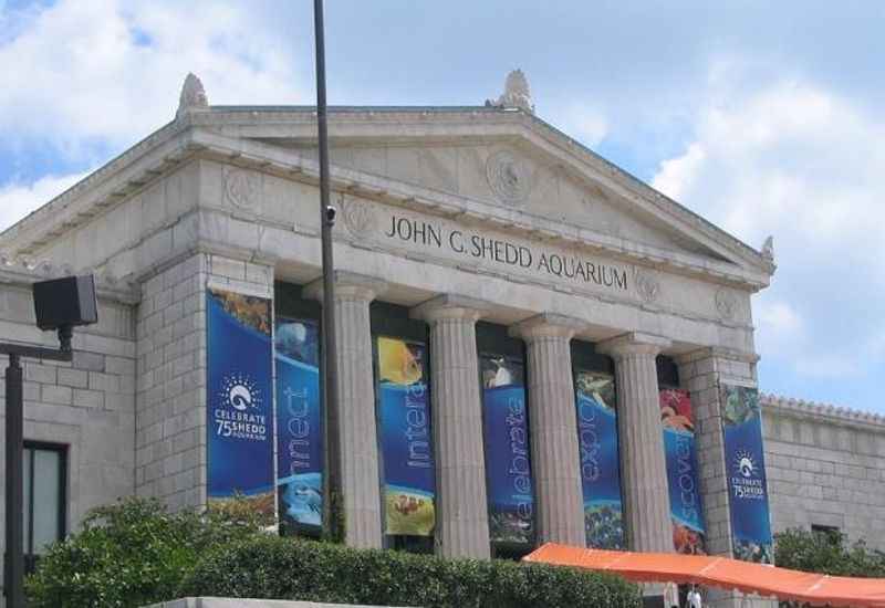 Shedd Aquarium