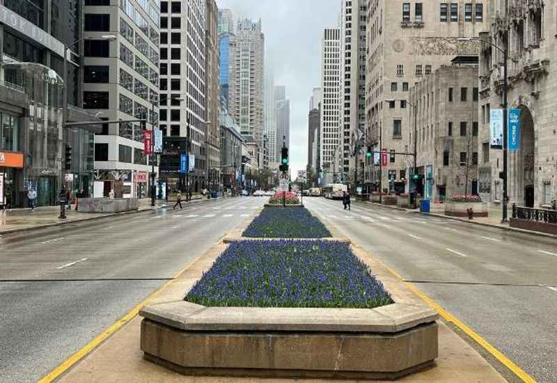 The Magnificent Mile