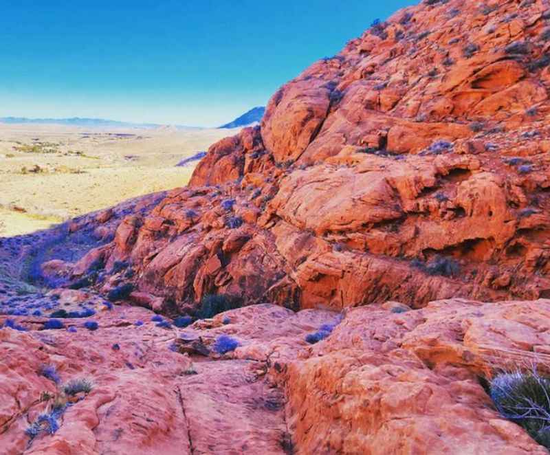 Red Rock Canyon National Conservation Area