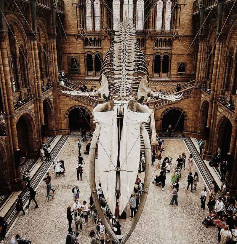 Natural History Museum