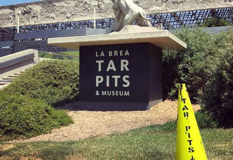 La Brea Tar Pits