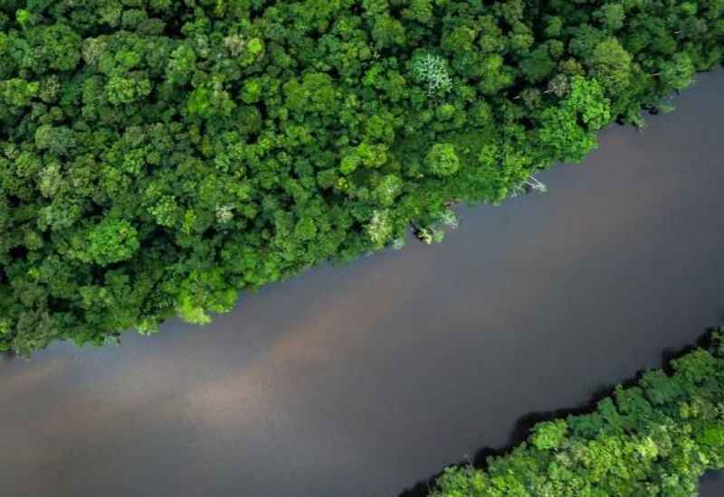 he Amazon Rainforest and River