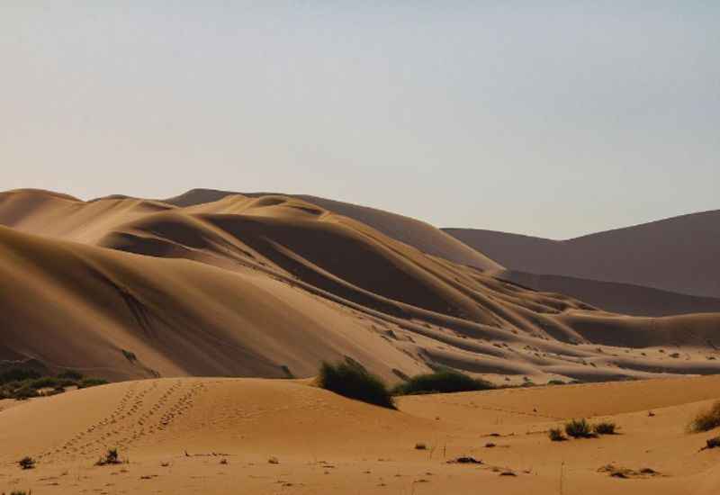 Namib Desert