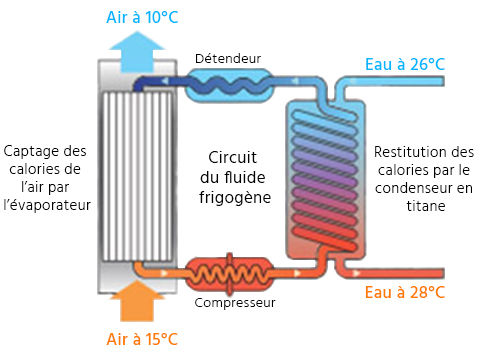 Schéma de fonctionnement interne d'une pompe à chaleur de piscine