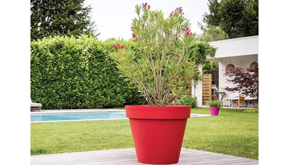 Grand pot pour plante : 5 jolis pots XXL pour un jardin surprenant